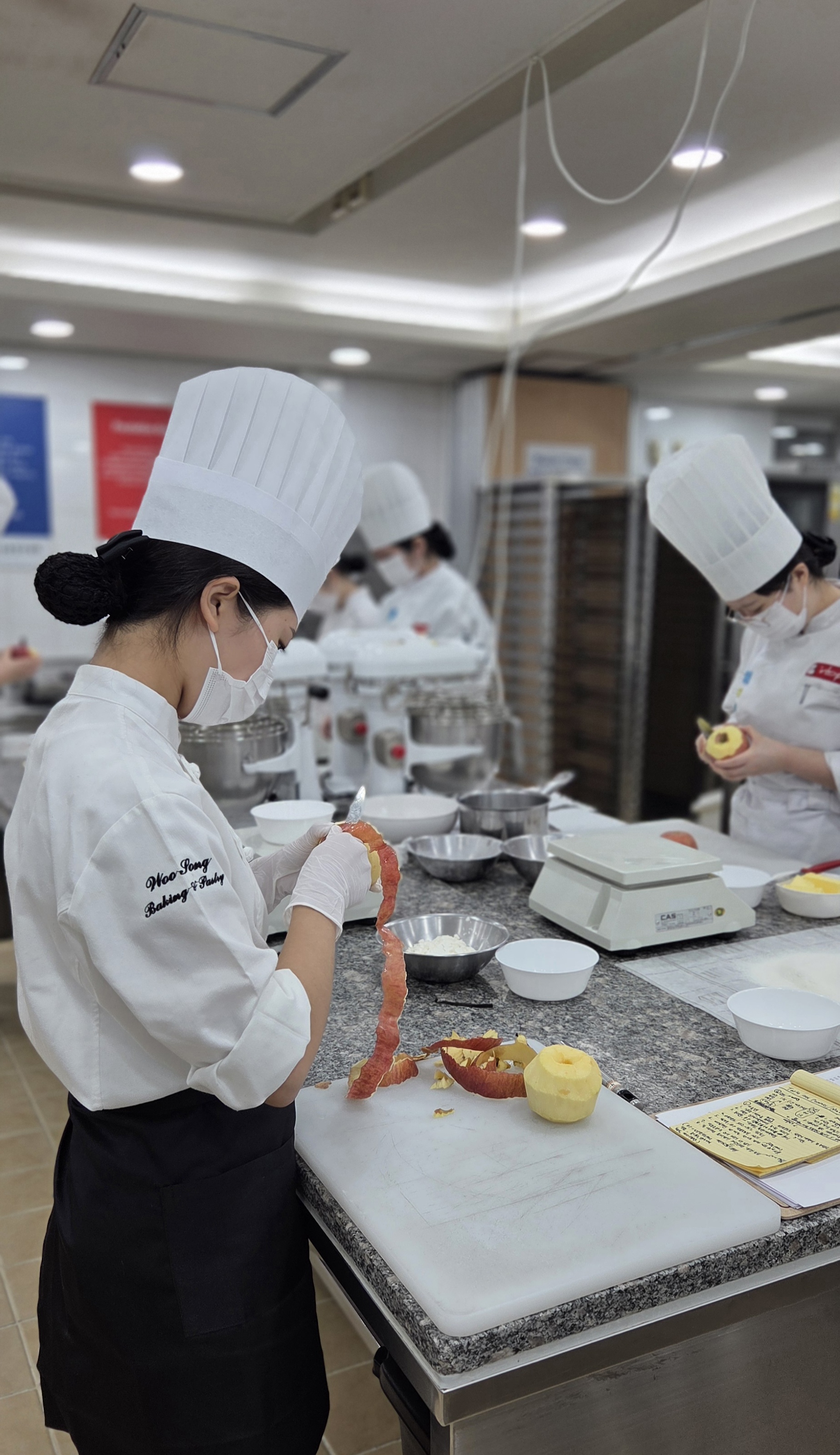 Tarte aux pommes_260309