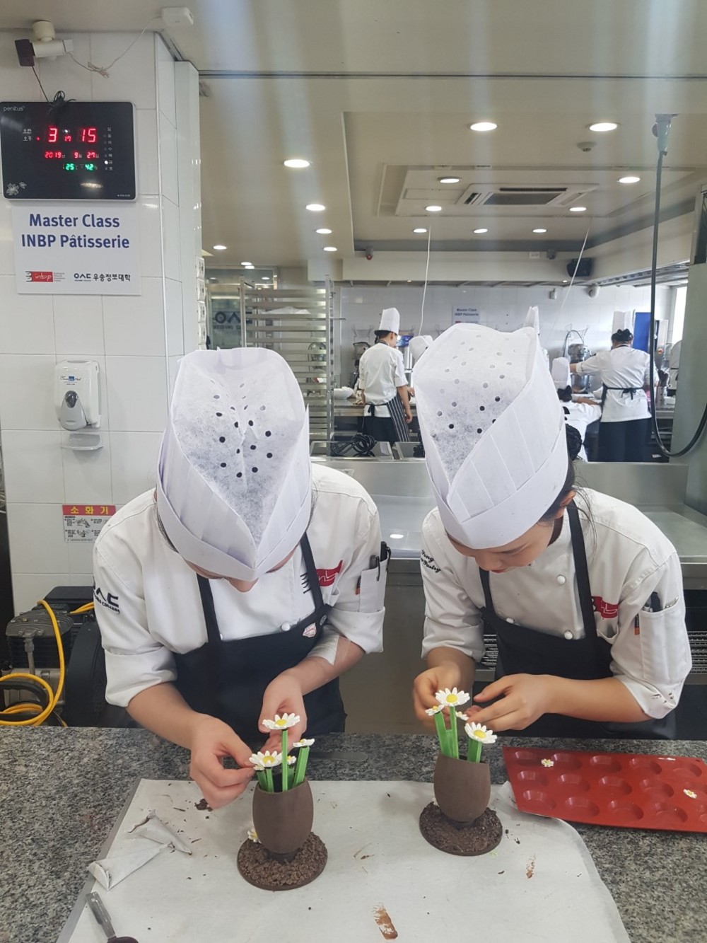 2019 Module6