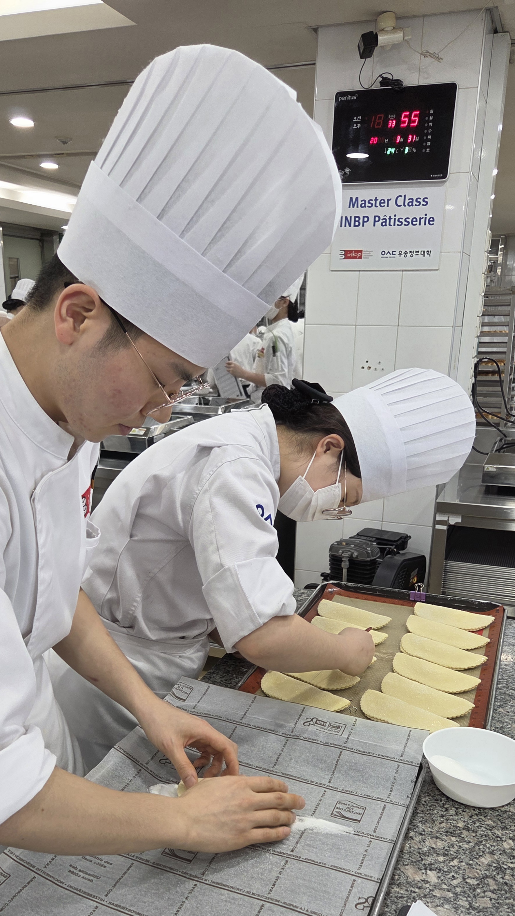 Bichon & Tigré_260331